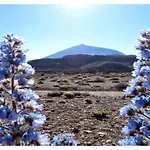 Apartman Paradise View Tenerife Costa Adeje (Tenerife)