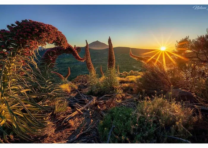 Paradise View Tenerife Appartement Costa Adeje (Tenerife)