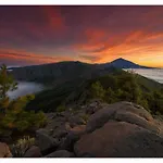 Paradise View Tenerife * Адехе
