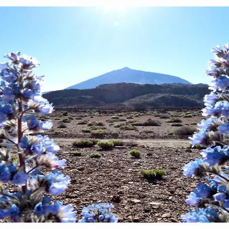 Apartmán Paradise View Tenerife Costa Adeje (Tenerife)