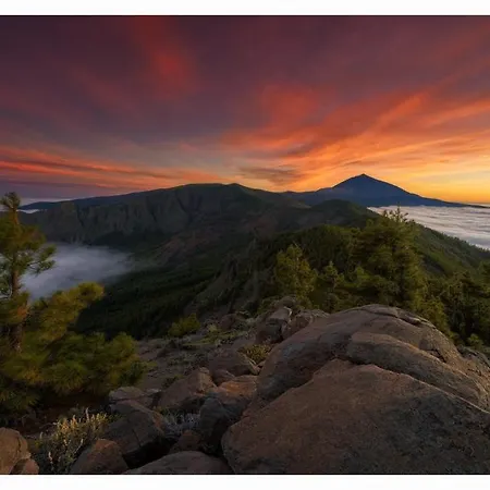 Paradise View Tenerife * Costa Adeje (Tenerife)