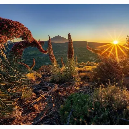 Paradise View Tenerife Apartmán Costa Adeje (Tenerife)