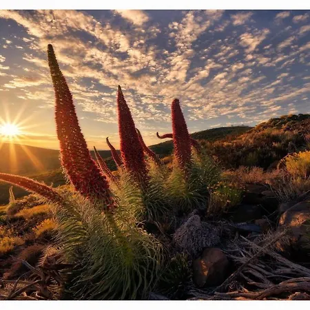Apartmán Paradise View Tenerife *