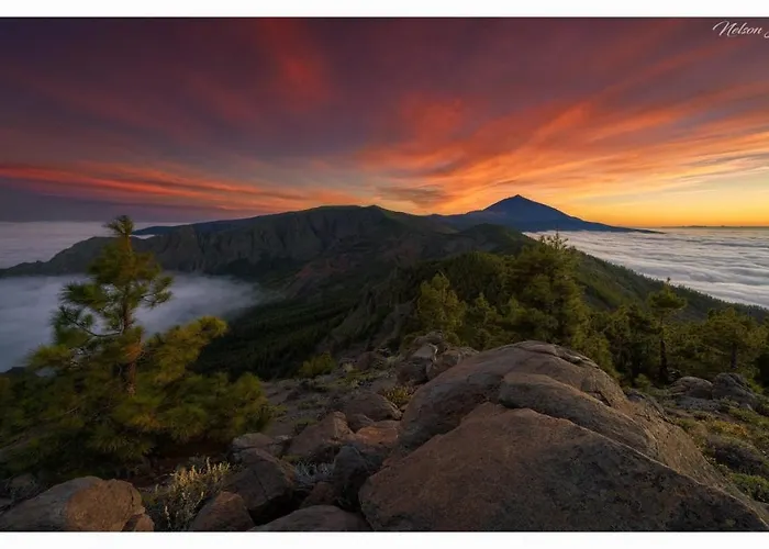 Paradise View Tenerife * Адехе